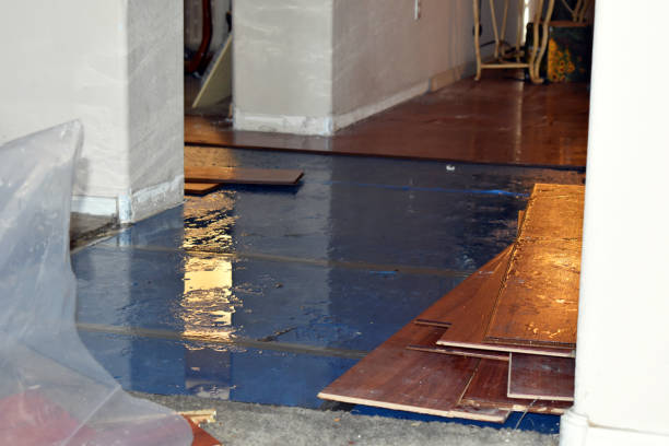 Professional Flood Damage Repair technician working in Amelia, OH